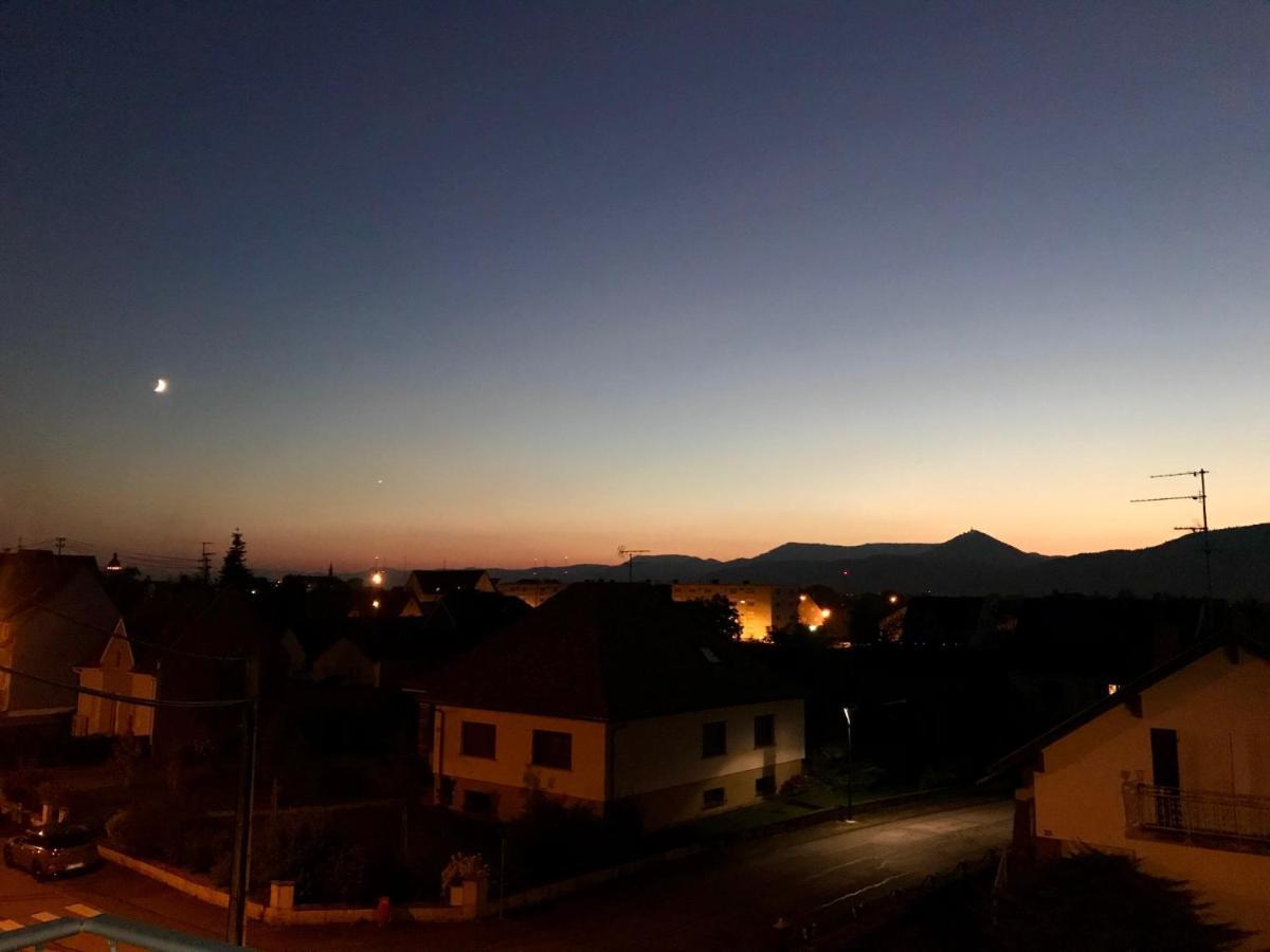 Appartement Chaleureux Et Lumineux Avec Vue ! Au Centre Alsace Sélestat Exterior foto